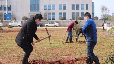  植树节｜我为中普家园添新绿